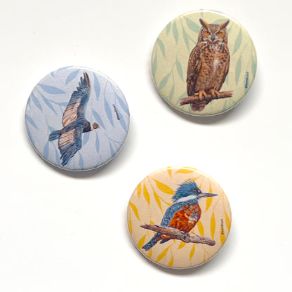Set 3 Chapitas Martin Condor Tucuquere