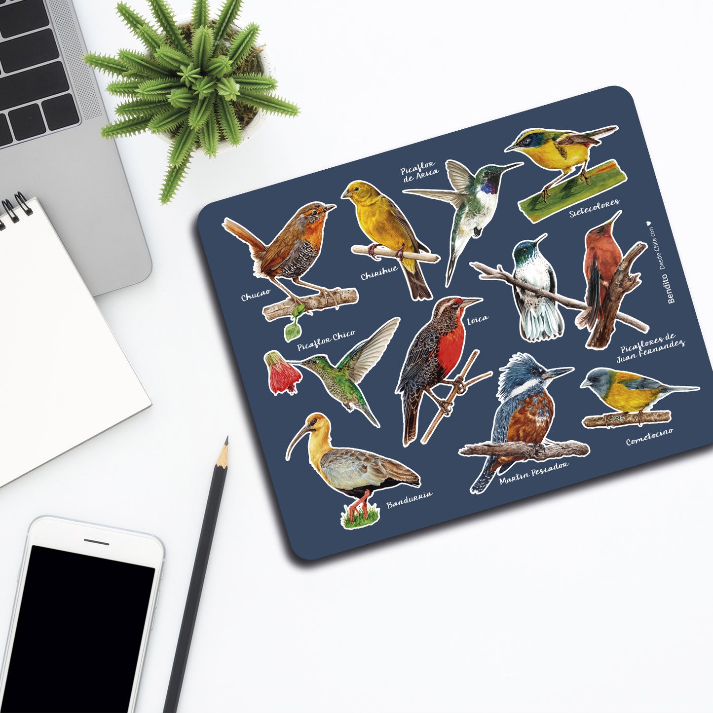 Mousepad Aves de Chile