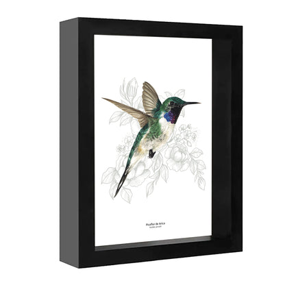 Set de 4 Cuadritos Picaflores