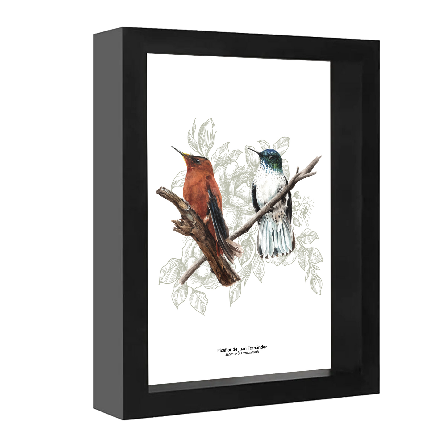 Set de 4 Cuadritos Picaflores