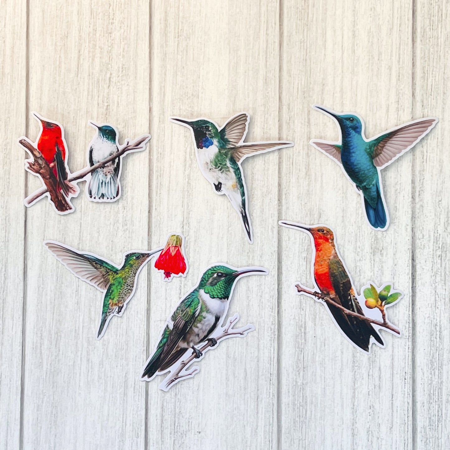 Set de Stickers Picaflores de Chile