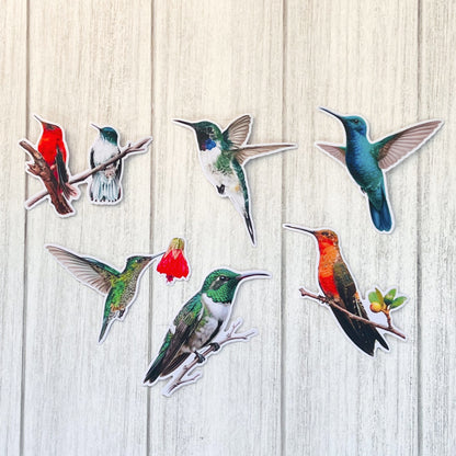 Set de Stickers Picaflores de Chile