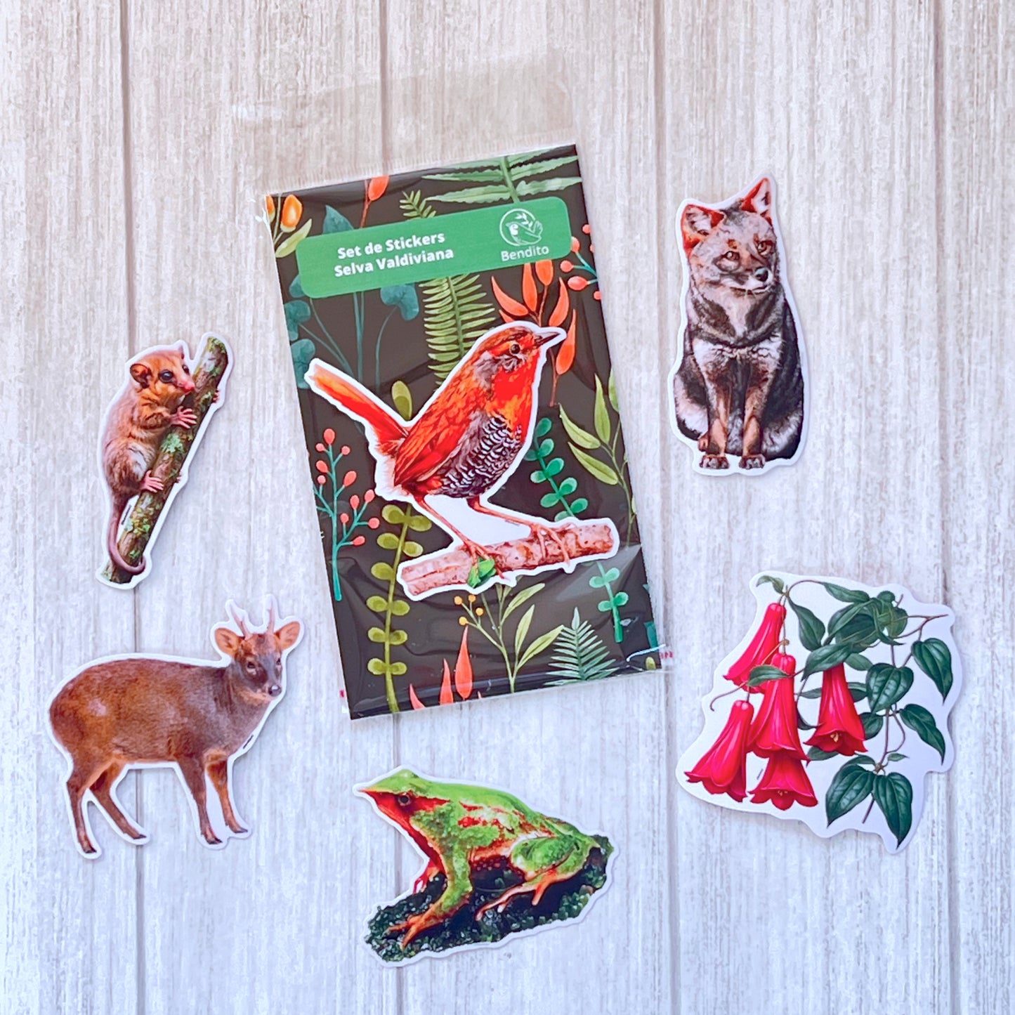 Set de Stickers Selva Valdiviana