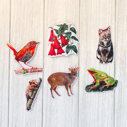 Set de Stickers Selva Valdiviana