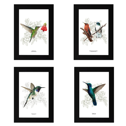 Set de 4 Cuadritos Picaflores