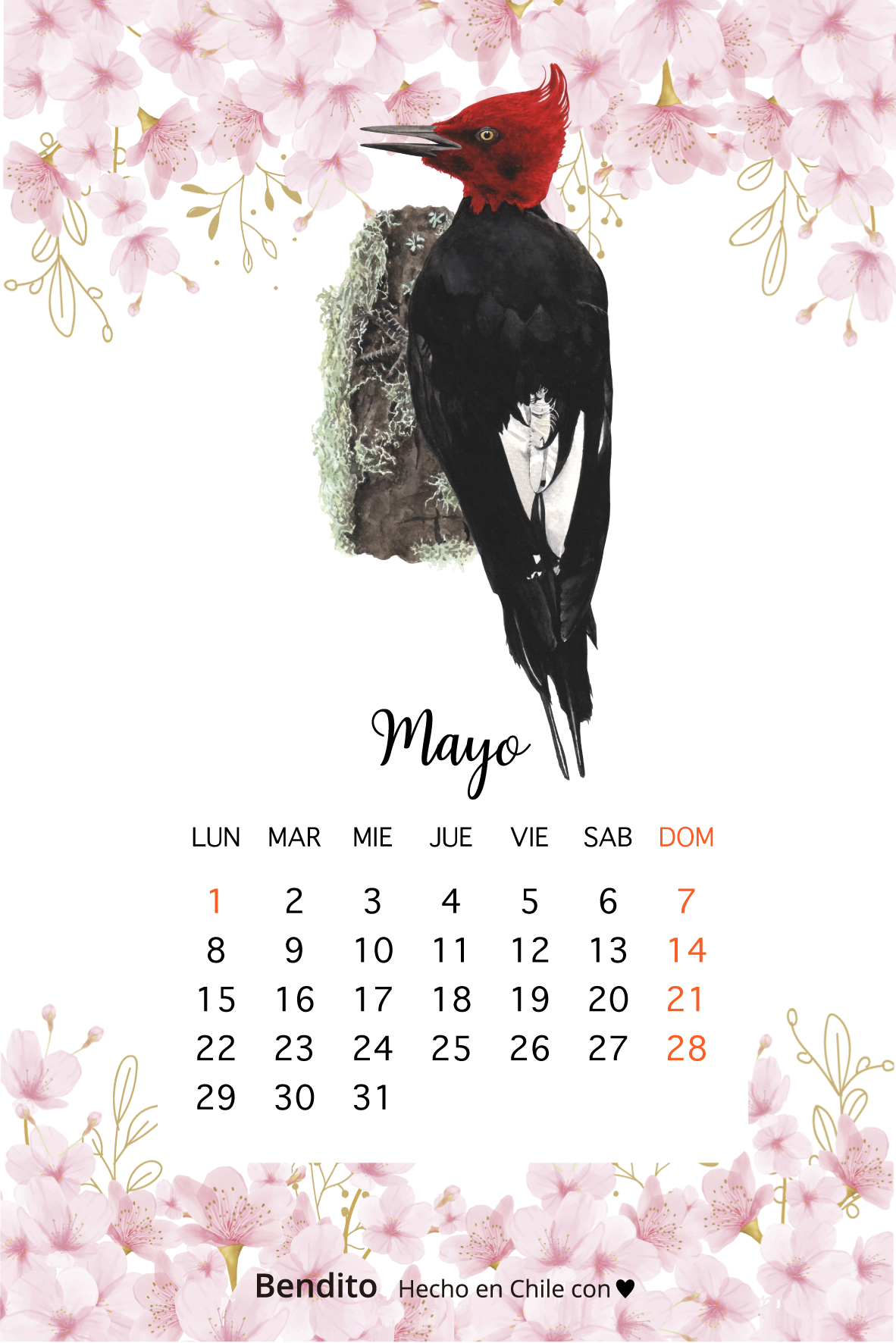 Calendario - Mayo 2023
