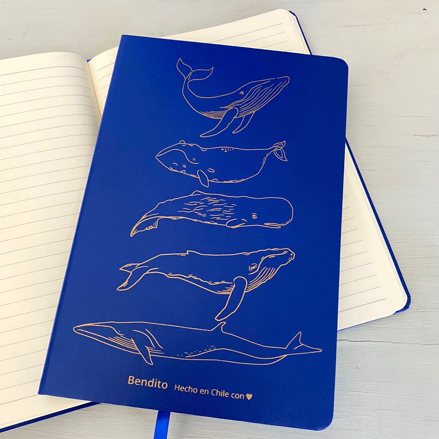 Cuaderno Ballenas Azul Dorado